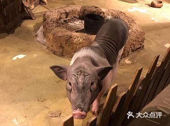 孩子特别喜欢，还希望领回家，实在太可爱啦！