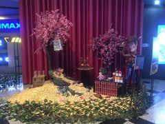 -万达影城(锦华万达广场IMAX店)