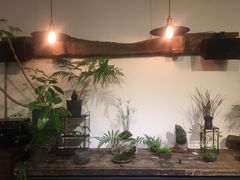 -植觉
