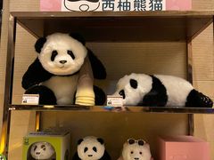 -成都保利公园皇冠假日酒店(熊猫基地店)
