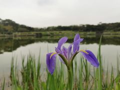 -东莞植物园