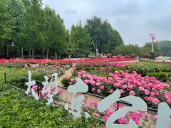 -大望京公园