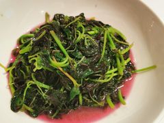 红苋菜-同庆楼(大钟寺店)