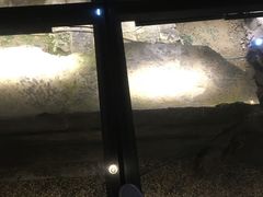 -元代水闸遗址博物馆