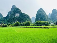 -明仕田园