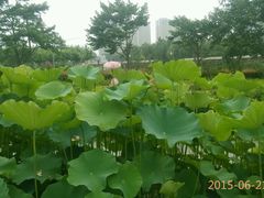 -白塘生态植物园