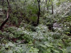 -灵山