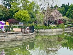 -嘉定紫藤园