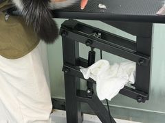 -爱洗澡的猫(望京店)