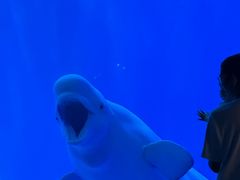 -多彩贵州城极地海洋世界