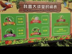 -广州长隆飞鸟乐园