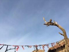 -敦煌古城