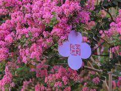 -杭州城北体育公园