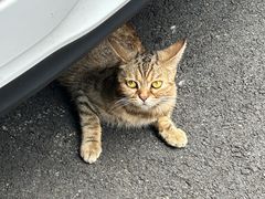 -SeekSeeking咖啡专门店(堰塘街店)