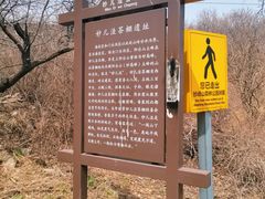 -阳台山自然风景区