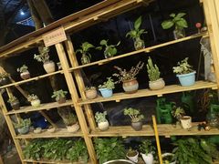 -渔遭殃鱼馆(黄桷垭店)