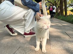 -西园寺素食(西园弄戒幢律寺店)
