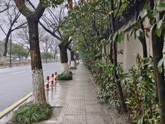-哑巴生煎(临顿路店)