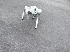 -佛冈森波拉度假区