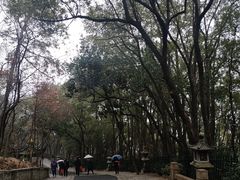 -灵岩山风景区