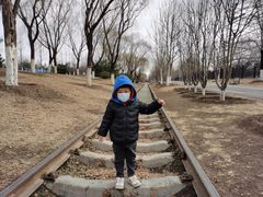 -永定河休闲森林公园