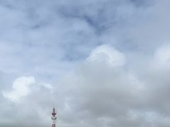 -东郊椰林