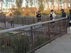 -白洋淀景区