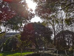 -杭州城北体育公园