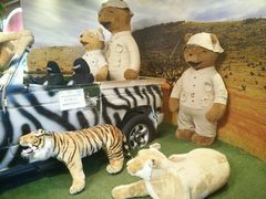 -济州岛泰迪熊博物馆