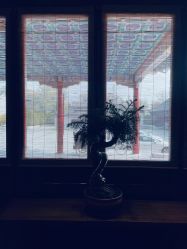 -颐和宾馆宴会厅