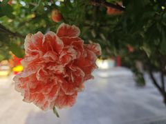-西安市广仁寺