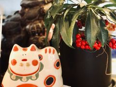 -知亘茶食