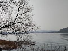 -东湖落雁景区
