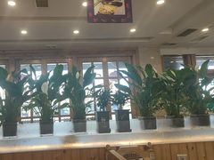 -大清花饺子(山庄店)