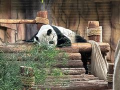 -泉州海丝野生动物世界