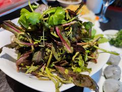 -蒙都43°9羊火锅·赤峰美食(宁城店)
