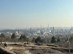 -白水寺森林公园