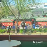 3.24实况🌸什刹海小众赏春机位分享
