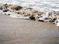 -日照海滨国家森林公园