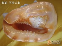 -亚龙湾中心广场·贝壳馆