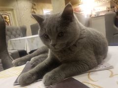 -吱咖啡西式简餐