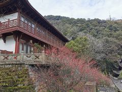 -韬光茶庵