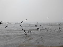 -老虎石海上公园