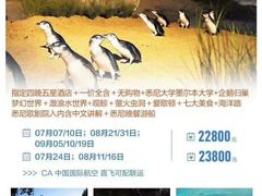 -怀托摩萤火虫洞