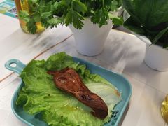 -青青河边草·小小河边鱼(万达广场太仓店)