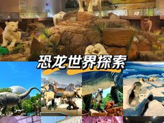 -陕西自然博物馆