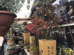 -本溪路花鸟市场(江浦路1709弄小区店)