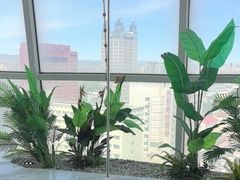 -海底捞火锅(振华广场店)