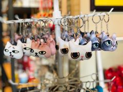 -猫咪博物馆(顶澳仔猫街店)