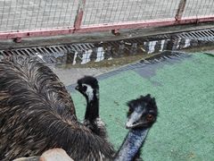 -J Create城市露营咖啡·简餐·宠物(上海动物园店)